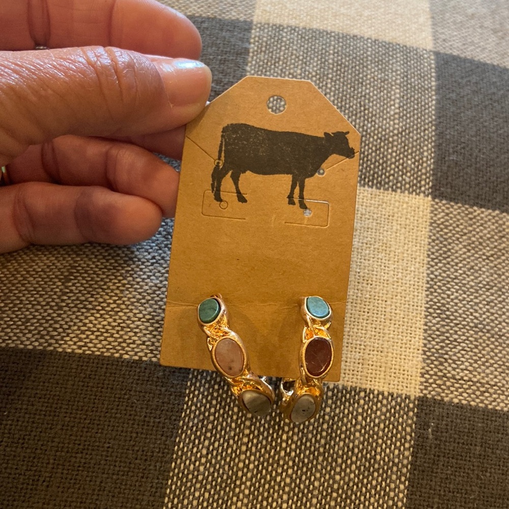 Earrings